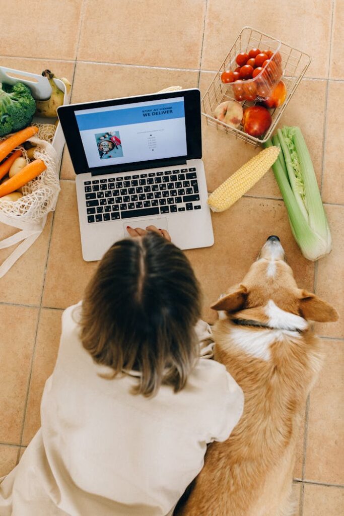 Overhead view of a woman and her corgi browsing online grocery shopping on a laptop.